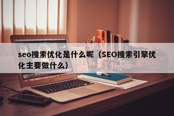 seo搜索优化是什么呢（SEO搜索引擎优化主要做什么）