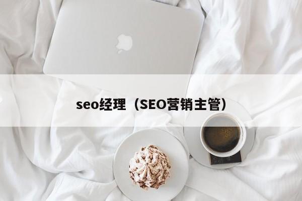 seo经理（SEO营销主管）