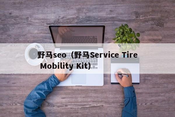 野马seo（野马Service Tire Mobility Kit）