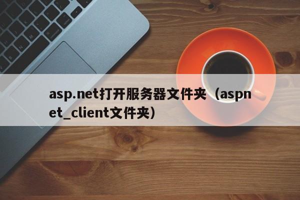 asp.net打开服务器文件夹（aspnet_client文件夹）