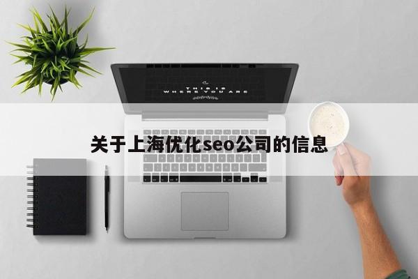 关于上海优化seo公司的信息