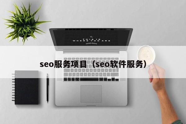seo服务项目（seo软件服务）