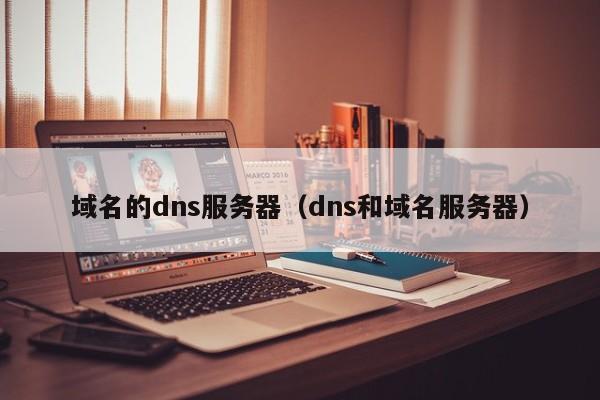 域名的dns服务器（dns和域名服务器）