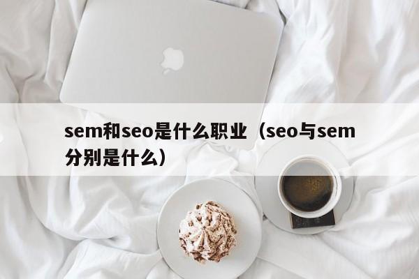 sem和seo是什么职业（seo与sem分别是什么）