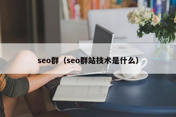 seo群（seo群站技术是什么）