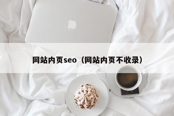 网站内页seo（网站内页不收录）
