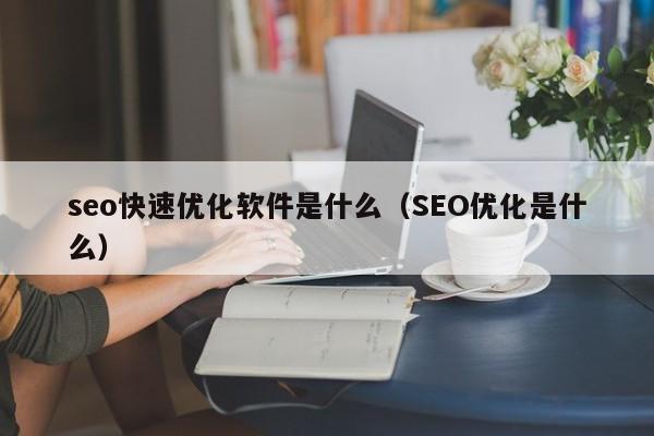 seo快速优化软件是什么（SEO优化是什么）