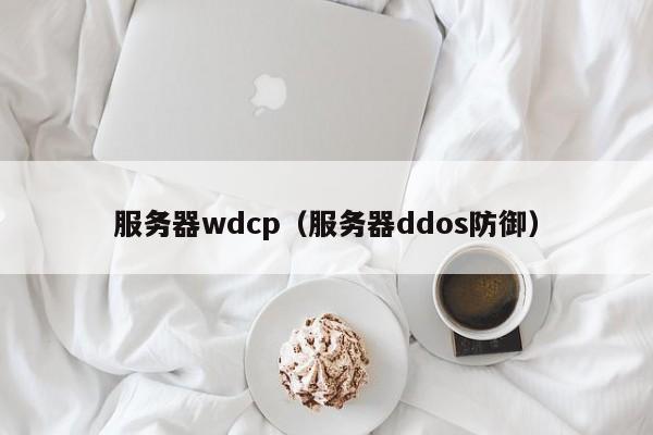服务器wdcp（服务器ddos防御）