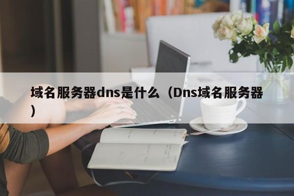 域名服务器dns是什么（Dns域名服务器）