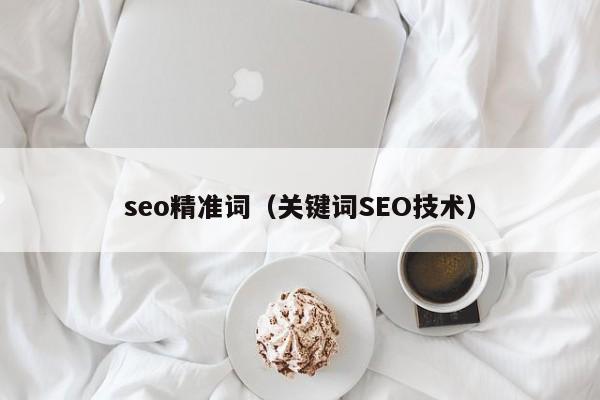 seo精准词（关键词SEO技术）