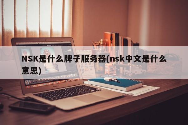 NSK是什么牌子服务器(nsk中文是什么意思)