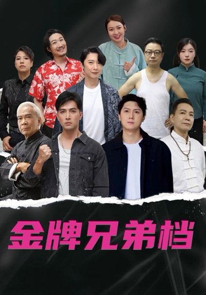 龙虎兄弟（60集）粤语版 高清完整版