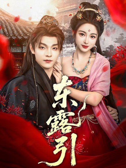 东露引（80集）段平＆耿池苏 高清完整版